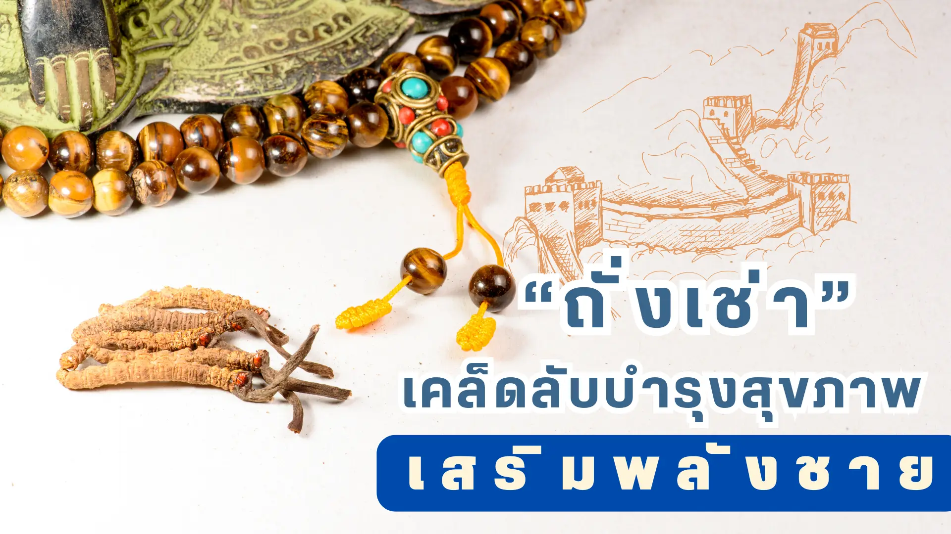 ถั่งเช่า เคล็ดลับบำรุงสุขภาพ เสริมพลังชาย