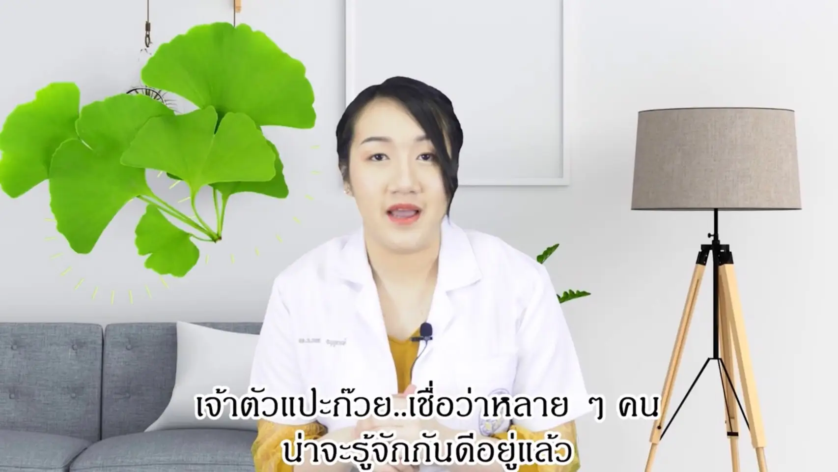 จิงโกะไบโลบา โดย หมอพลอยใส